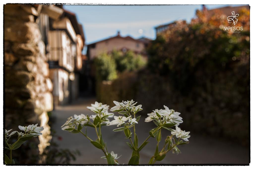 Abadia San Martin Hotel San Martín del Castañar Екстериор снимка
